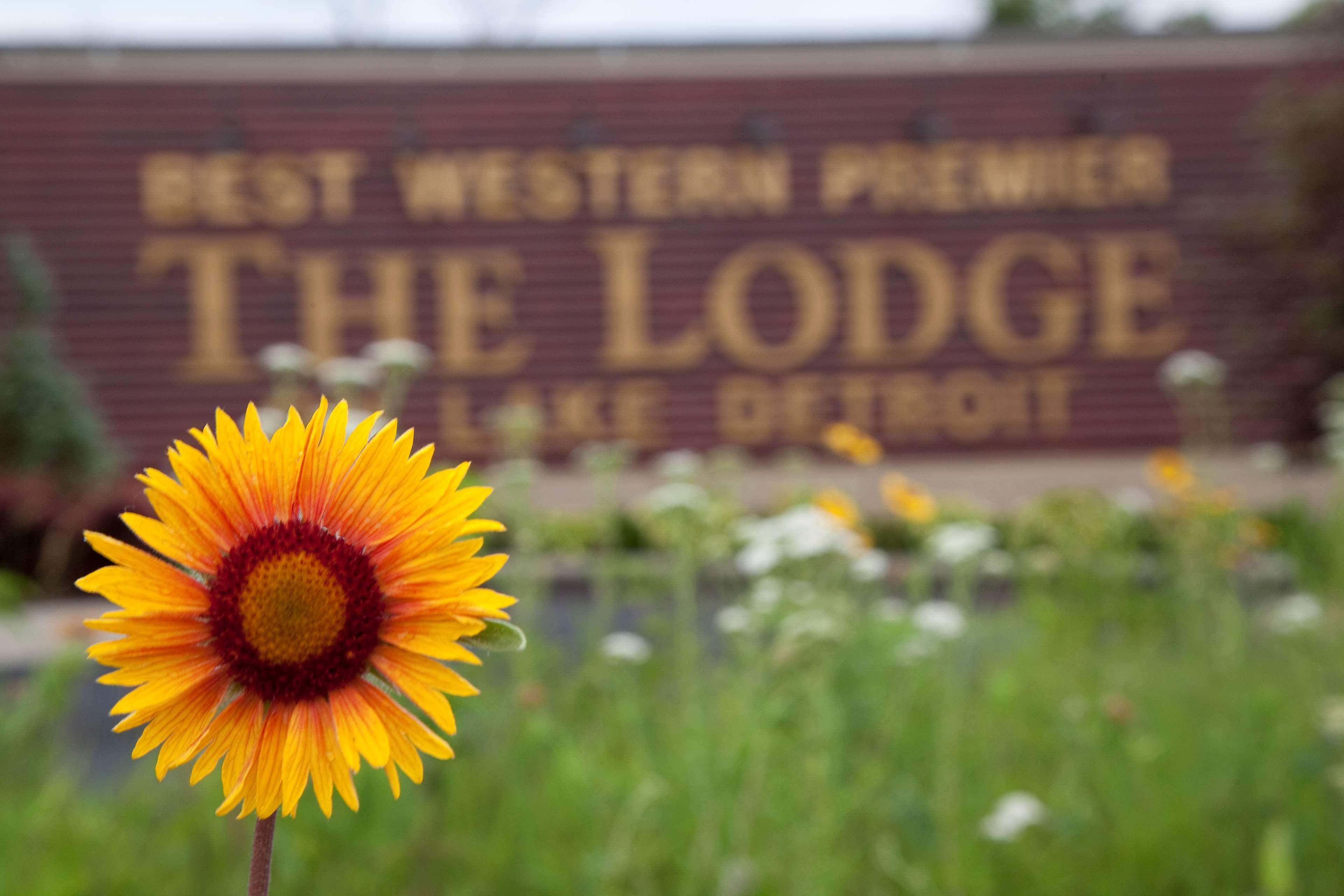 Best Western Premier The Lodge On Lake Detroit Detroit Lakes Extérieur photo